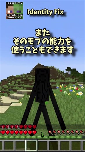 マイクラMOD解説【Identity Fix】