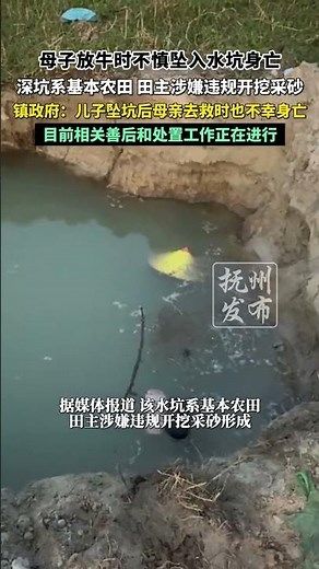 母子放牛时不慎坠入水坑身亡，深坑系基本农田，田主涉嫌违规开挖采砂，镇政府：儿子坠坑后母亲去救时也不幸身亡，目前相关善后和处置工作正在进行