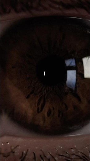 FILE 001: The Warning. 👁️ #shorts #deadinternettheory #mystery