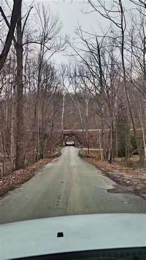 Creating Relatable Videos with Unique Sound Clips