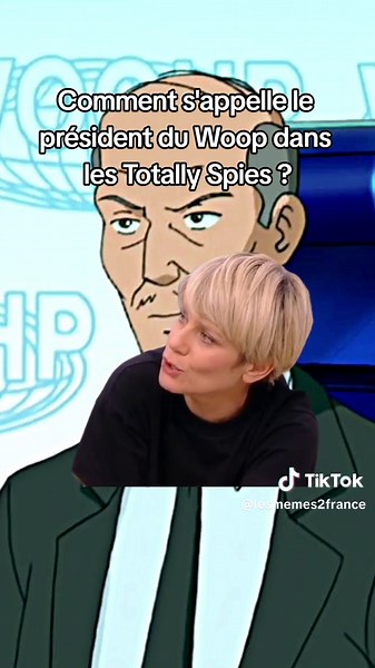 Le Serial Memeur sur TikTok