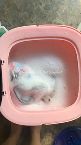 Mini Foldable Washing Machine Perfect for students na nag boboarding house & sa mga nag Solo Living Buy Here 👇🏼 https://vt.tiktok.com/ZSFQcqCnu/ | Mae Gabales