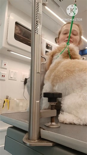 I love it here | Colleen Hedges