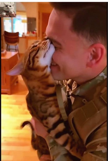 Cats Welcome Home Soldiers: Heartwarming Moments