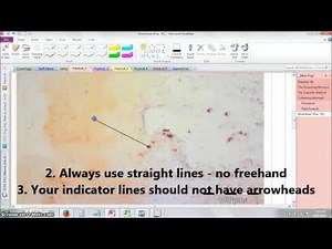 Image capture with LCmicro and annotation in OneNote