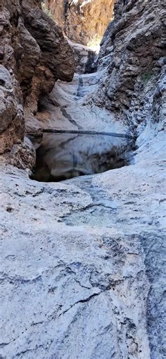 Explore the Beauty of Arizona: A Desert Lover's Adventure