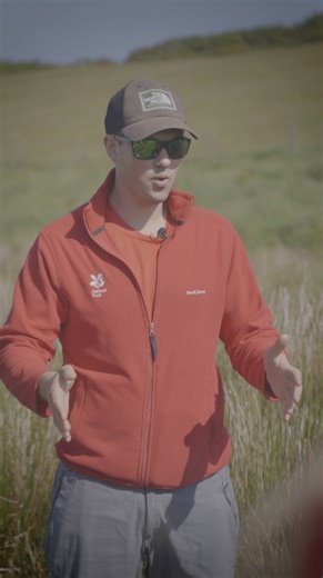 Earth Action North Devon (EAND), the North Devon National Trust and the North Devon World Surfing Reserve are working together, with help from the Save The Waves Coalition, to help small coastal streams behave more naturally again as part of the Coastal Rivers Project. By restoring natural features, adding complexity and slowing the flow, the project is giving these tributaries the space to settle, filter and function as they should. It’s simple, practical regeneration that supports cleaner wate