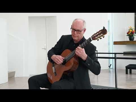 Blackbird - The Beatles (Lennon/McCartney) played by Soren Madsen