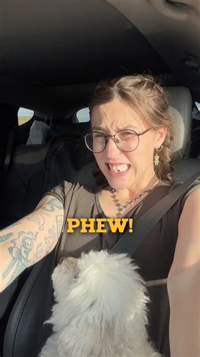 pepper | discovery & adventure on Instagram: "i actually cannot believe that i’m not driving anymore. i kid you not, driving had become a way of life there for me for a quick second. wake up, early, so that i could avoid traffic... drive... pee... drive... snack... drive... park... sleep... wake up... and so on! and you may be wondering WHY was i driving so far. well, a few months ago, i did this drive the other way, so that i could bring my two doggies without having to put them through flying.