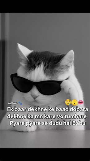 ~ 𝙼 𝙴 𝙾 𝚆 ~ 🐱 on Instagram: "- Love Memes - Romantic Memes - Heart Touching Memes - Love Quotes Memes - Funny Love Memes - Romantic Comedy Memes - Love Failure Memes - Valentine's Day Memes - Love You Memes - Bollywood Love Memes - Indian Love Stories Memes - Couple Goals Memes - Love Shayari Memes (for Hindi love quotes) - Sad Love Memes - Heartbreak Memes - Missing You Memes - Forever Love Memes #LoveMemes #Loveyou #RomanticMemes #CoupleGoals #HeartTouchingMemes #trendingreels #fypシ #inst