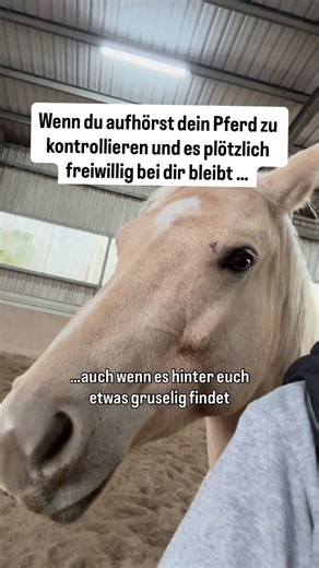 Mentorin für echte Partnerschaft zwischen Mensch & Pferd on Instagram: "Kennst du das Gefühl, wenn dein Pferd zwar „da“ ist, aber irgendwie nicht bei dir❓ Du gibst dir Mühe, machst alles richtig, achtest auf deine Körpersprache … und trotzdem spürst du, es ist keine echte Verbindung da. Nur Spannung. Oder Leere. Oder kennst du dieses ständige Zweifeln❓ „Bin ich zu weich? Bin ich zu streng? Versteht mein Pferd mich überhaupt?“ Ich weiß, wie weh das tun kann, gerade wenn du dein Pferd liebst.😣 ❗️
