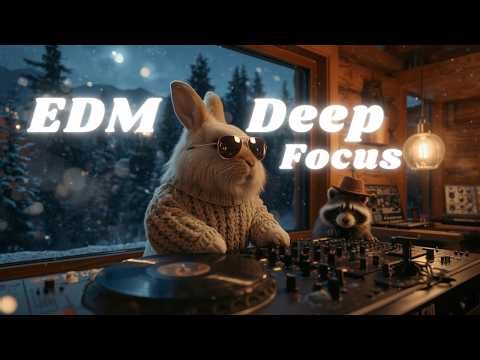 EDM Study Music 🚀 | Deep Focus Electronic Beats for Productivity | Midnight Alpine Bunny DJ