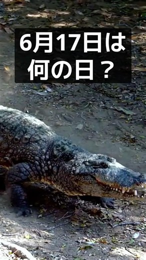 6月17日は世界ワニの日｜怖いだけじゃない水辺の捕食者