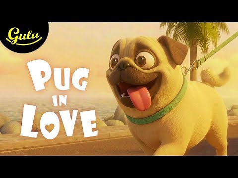 Pug in Love - Animated Short Film by GULU #puppy #dog #animation