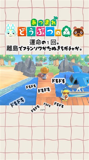 フランソワちゃんに出会いたい。#あつまれどうぶつの森 #あつ森 #離島ガチャ #shorts
