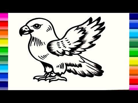 Eagle Drawing & Painting How to Draw Eagle Drawing