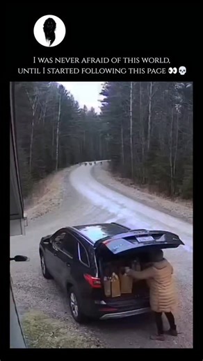 WeirdlyWild on Instagram: "Wolves are highly intelligent and social apex predators that belong to the Canidae family, most notably represented by the Gray Wolf (Canis lupus). They are famous for their sophisticated pack structures, which usually consist of a nuclear family including a breeding pair and their offspring. Within these packs, wolves exhibit complex social behaviors, cooperation in hunting large ungulates like elk or deer, and a deep sense of loyalty. Their communication is equally i