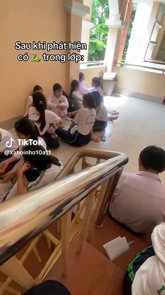 Discovering a Snake in Class: Reaction and Insights