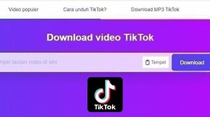 SSSTikTok Download Video TikTok dan Musik FYP Viral Gratis dan Proses Pengunduhan Cepat - Tribunkaltim.co