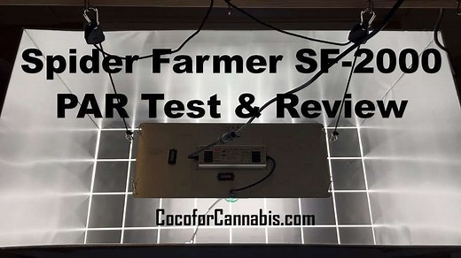 Spider Farmer SF 2000 Field Test & Review - Coco For Cannabis