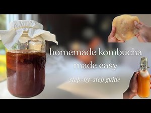 how to make kombucha at home | step- by- step guide