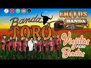 Banda Toro - El Caminante Recordando los Exitos - Bandas Viejitas Pero Bonitas Mix