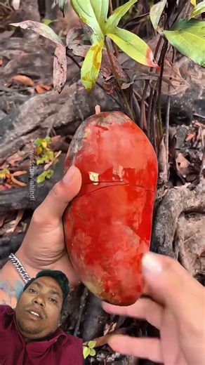 #facts #fruit #food #fruitcutting #farming #audioaccessories #foodfacts