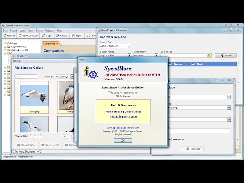 SpeedBase - Custom Database Software