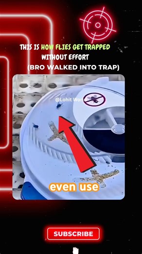 Machine Traps Flies Without Any Effort 😱⚡