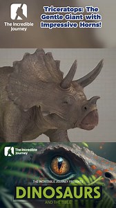 11K views · 340 reactions | Discover the fascinating world of...