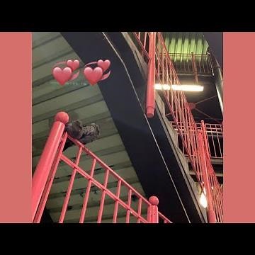 i´m yours (dexotec remix)