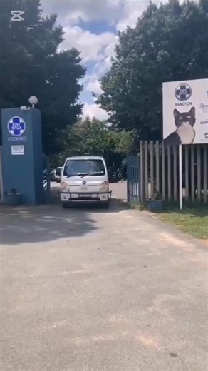 2.8K views · 94 reactions | A big thank you to Stor-Age Self Storage Sandton - Kramerville for their generous support in providing safe and secure Stor-Age space to the Sandton SPCA! Your contribution is invaluable in helping us continue our mission to care for and protect animals in need. We deeply appreciate your kindness and commitment to making a difference in our community. #storage #storagespace #SandtonSPCA | Sandton SPCA | Facebook