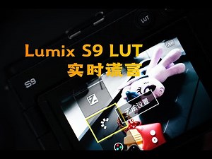 松下S9在实时LUT上也许并没有说实话 The Lumix S9 real time LUT “Looks UnTure”
