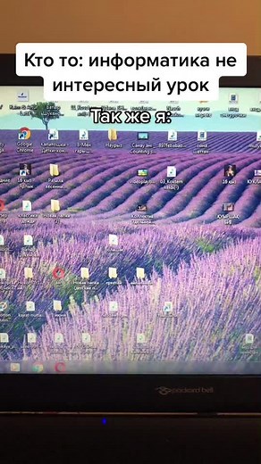 Exploring Computer Commands and Interfaces