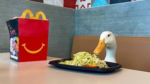 132K views · 5.8K reactions | I took my Duck to the World’s Largest McDonalds 閭 | seducktive | Facebook