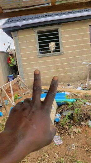 Innovative House Design Ideas for Your Next Project