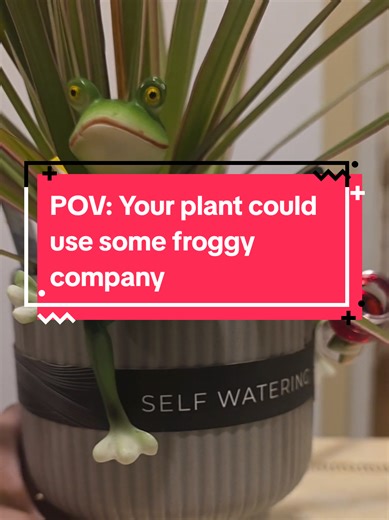 POV:You're plants could use some foggy company. Check out these adorable frog decorations for your potted plants. They look like quite the party to hang around! grab yours today! #resinfrogs #plantdecor #adorable