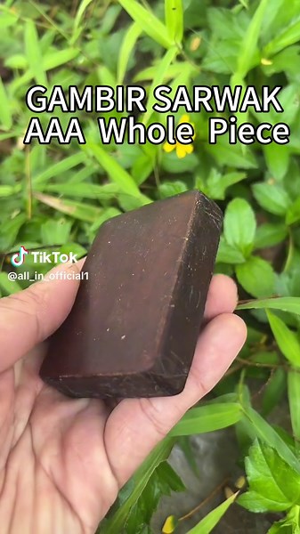 Exploring Authentic Gambir Sarawak Products