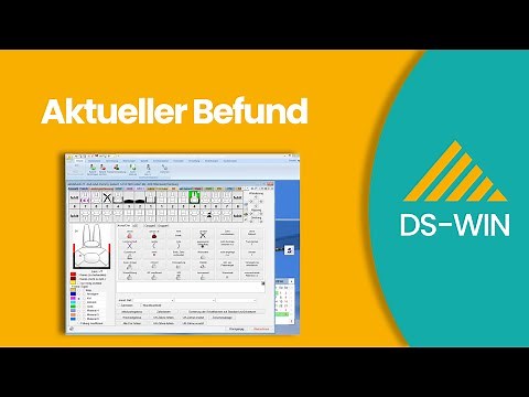 Aktueller Befund bei Dampsoft DS-WIN