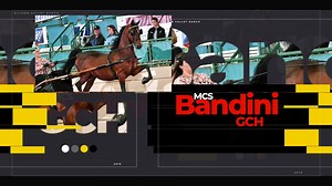 The morning session of the Grand National & World Championship Morgan Horse Show® starts in 5 minutes! Today's live broadcast is brought to you by River Run Farm! For more information on the show, go to www.MorganGrandNational.com. To watch the show LIVE and FREE, go to www.MGNLive.com! | Grand National & World Championship Morgan Horse Show
