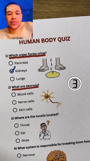 18 reactions · 3 comments | Human body Quiz #everyone #reelschallenge #ScienceStudy #learning #StudySmart #reelsvideoシ #viralreels #reelsfypシ #education #QuizChallenge #questionandanswer | Chukwu Sunday FearGod 1 | Facebook