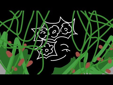 Spectral Approach (Emily Chase Theme)