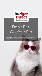 Our pet’s lives are valuable, just like the cars and homes we insure. Insure what you value most with Budget Direct Pet Insurance. | Budget Direct | Facebook