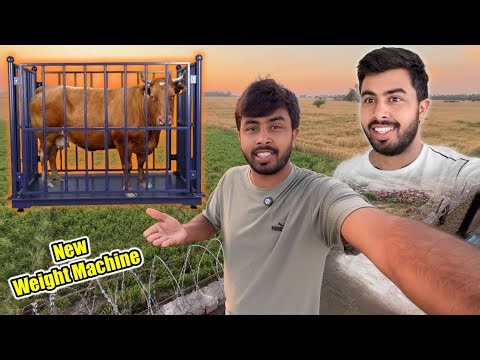 Hum New Weight Machine Laa Rahe Hein 📈 Solar Motor Be Chal Gayi ⚡️ Goat Farming