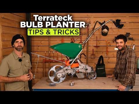 Onion Bulb Planter Tips & Tricks for Better Planting