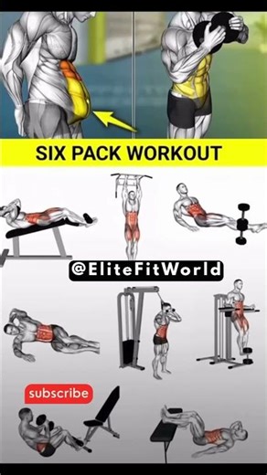 Best Six Pack Abs Workout in the Gym