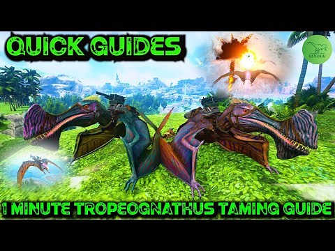 Ark Quick Guides - Tropeognathus - The 1 Minute Taming Guide! 2020