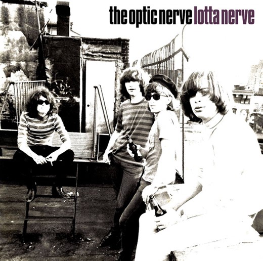 The Optic Nerve - Lotta Nerve