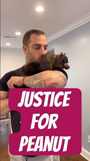 Justice for Peanut the Squirrel and Fred the Raccoon