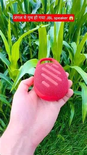 The Corn Field Challenge 🌽 | Can We Survive It?